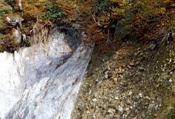 Atotsugawa Fault System Geopoint