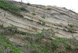 天狗平の化石層ジオポイント