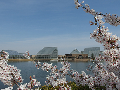 富山県中央植物園 博物館等 富山の中の 地球へ行こう ジオ 自然 の恵みを体感しよう ユネスコ世界ジオパーク認定応援キャンペーン